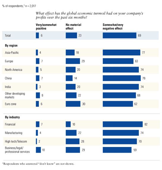 Economic Conditions Snapshot December 2008 Mckinsey Global Survey